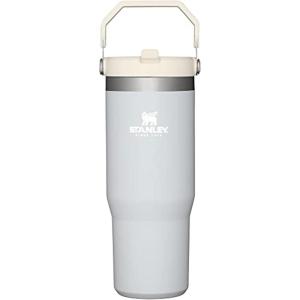 STANLEY IceFlow 2.0 Flip Straw Tumbler with Handle 20 oz | Twist On Lid and Flip Up Straw | Leak Resistant Water Bottle | Insulated Stainless Steel | BPA-Free | Azure(Cloud)