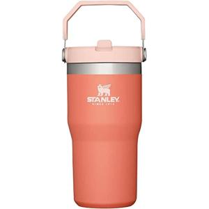 STANLEY IceFlow 2.0 Flip Straw Tumbler with Handle 20 oz | Twist On Lid and Flip Up Straw | Leak Resistant Water Bottle | Insulated Stainless Steel | BPA-Free | Azure(Grapefruit)