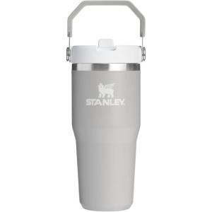 STANLEY IceFlow 2.0 Flip Straw Tumbler with Handle 20 oz | Twist On Lid and Flip Up Straw | Leak Resistant Water Bottle | Insulated Stainless Steel | BPA-Free | Azure(Ash)