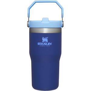 Stanley IceFlow Flip Straw Tumbler with Handle 20 oz | Twist On Lid and Flip Up Straw | Leak Resistant Water Bottle | Insulated Stainless Steel |BPA-Free | Plum(Lapis)