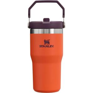 Stanley IceFlow Flip Straw Tumbler with Handle 20 oz | Twist On Lid and Flip Up Straw | Leak Resistant Water Bottle | Insulated Stainless Steel |BPA-Free | Plum(Tigerlily Plum)