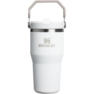 Stanley IceFlow Flip Straw Tumbler with Handle 20 oz | Twist On Lid and Flip Up Straw | Leak Resistant Water Bottle | Insulated Stainless Steel |BPA-Free | Plum(Frost)