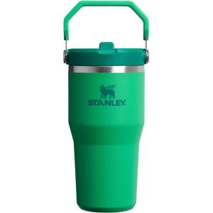 Stanley IceFlow Flip Straw Tumbler with Handle 20 oz | Twist On Lid and Flip Up Straw | Leak Resistant Water Bottle | Insulated Stainless Steel |BPA-Free | Plum(Meadow)