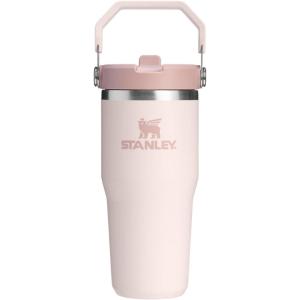 Stanley IceFlow Flip Straw Tumbler with Handle 20 oz | Twist On Lid and Flip Up Straw | Leak Resistant Water Bottle | Insulated Stainless Steel |BPA-Free | Plum(Rose Quartz)