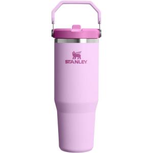 Stanley IceFlow Flip Straw Tumbler with Handle 20 oz | Twist On Lid and Flip Up Straw | Leak Resistant Water Bottle | Insulated Stainless Steel |BPA-Free | Plum(Soft Orchid)