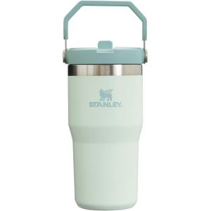 Stanley IceFlow Flip Straw Tumbler with Handle 20 oz | Twist On Lid and Flip Up Straw | Leak Resistant Water Bottle | Insulated Stainless Steel |BPA-Free | Plum(Mist)