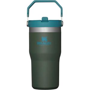 Stanley IceFlow Flip Straw Tumbler with Handle 20 oz | Twist On Lid and Flip Up Straw | Leak Resistant Water Bottle | Insulated Stainless Steel |BPA-Free | Plum(Spirulina)