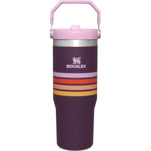 Stanley IceFlow Flip Straw Tumbler with Handle 20 oz | Twist On Lid and Flip Up Straw | Leak Resistant Water Bottle | Insulated Stainless Steel |BPA-Free | Plum(Plum Stripe)