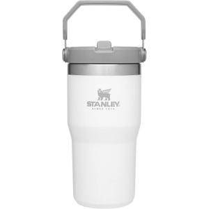 Stanley IceFlow Flip Straw Tumbler with Handle 20 oz | Twist On Lid and Flip Up Straw | Leak Resistant Water Bottle | Insulated Stainless Steel |BPA-Free | Plum(Polar)