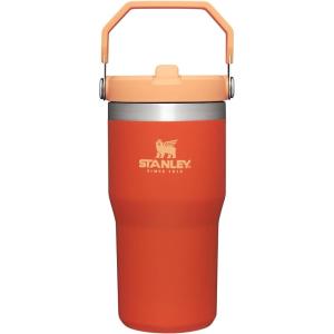 Stanley IceFlow Flip Straw Tumbler with Handle 20 oz | Twist On Lid and Flip Up Straw | Leak Resistant Water Bottle | Insulated Stainless Steel |BPA-Free | Plum(Tigerlily)