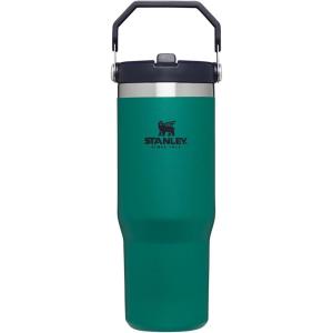 Stanley IceFlow Flip Straw Tumbler with Handle 20 oz | Twist On Lid and Flip Up Straw | Leak Resistant Water Bottle | Insulated Stainless Steel |BPA-Free | Plum(Tidepool)