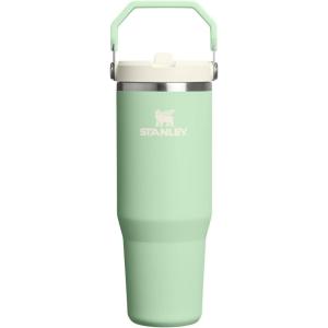 Stanley IceFlow Flip Straw Tumbler with Handle 20 oz | Twist On Lid and Flip Up Straw | Leak Resistant Water Bottle | Insulated Stainless Steel |BPA-Free | Plum(Pistachio)