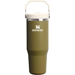 Stanley IceFlow Flip Straw Tumbler with Handle 20 oz | Twist On Lid and Flip Up Straw | Leak Resistant Water Bottle | Insulated Stainless Steel |BPA-Free | Plum(Thyme)