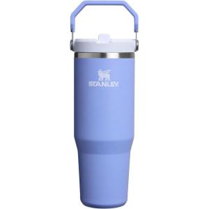 Stanley IceFlow Flip Straw Tumbler with Handle 20 oz | Twist On Lid and Flip Up Straw | Leak Resistant Water Bottle | Insulated Stainless Steel |BPA-Free | Plum(Hydrangea)