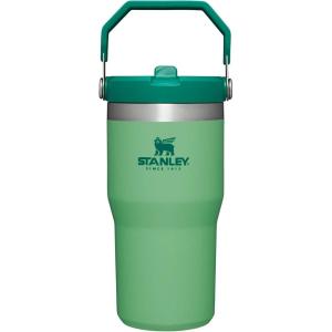 Stanley IceFlow Flip Straw Tumbler with Handle 20 oz | Twist On Lid and Flip Up Straw | Leak Resistant Water Bottle | Insulated Stainless Steel |BPA-Free | Plum(Jade)