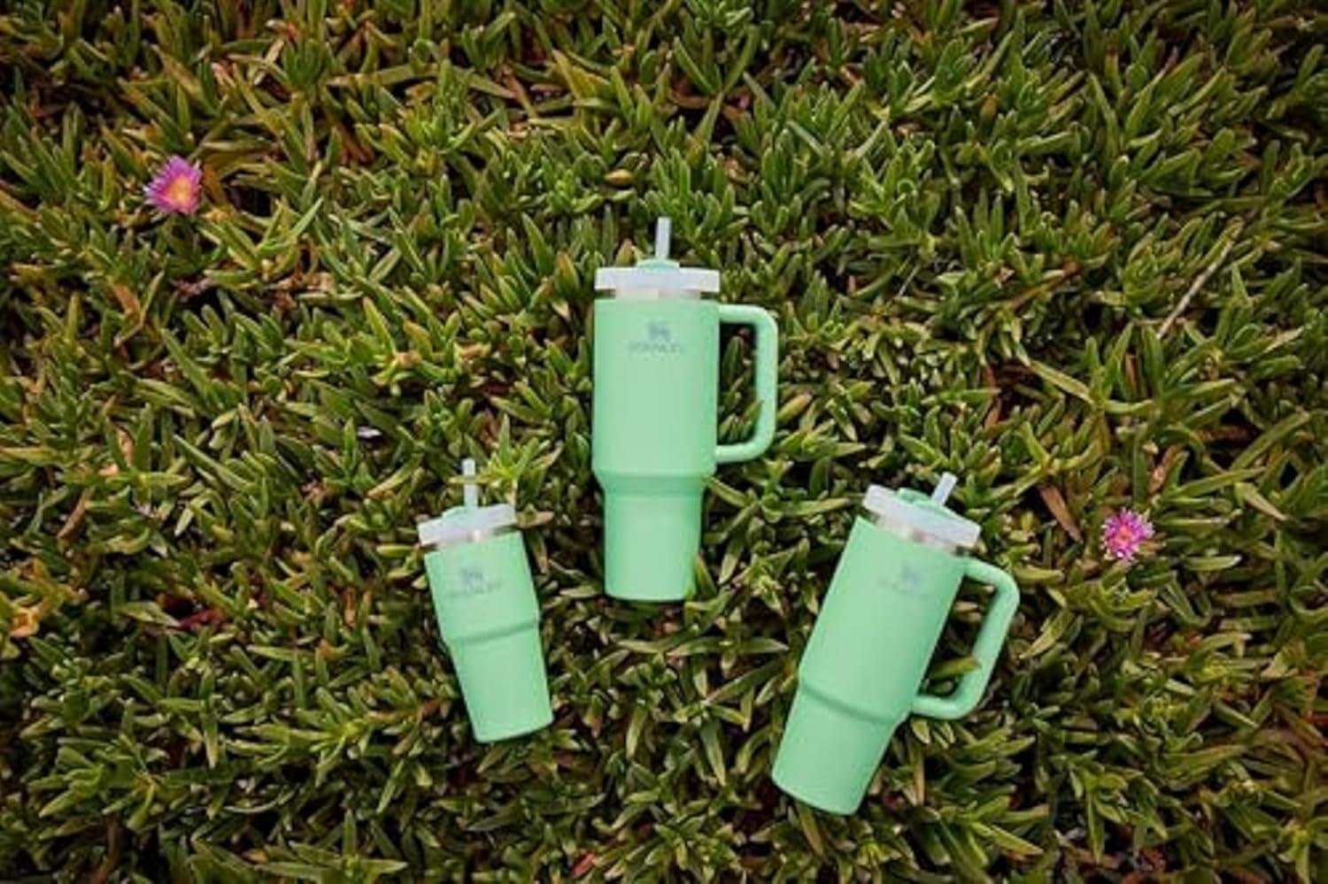 imageSTANLEY Quencher H20 FlowState Stainless SteelJade