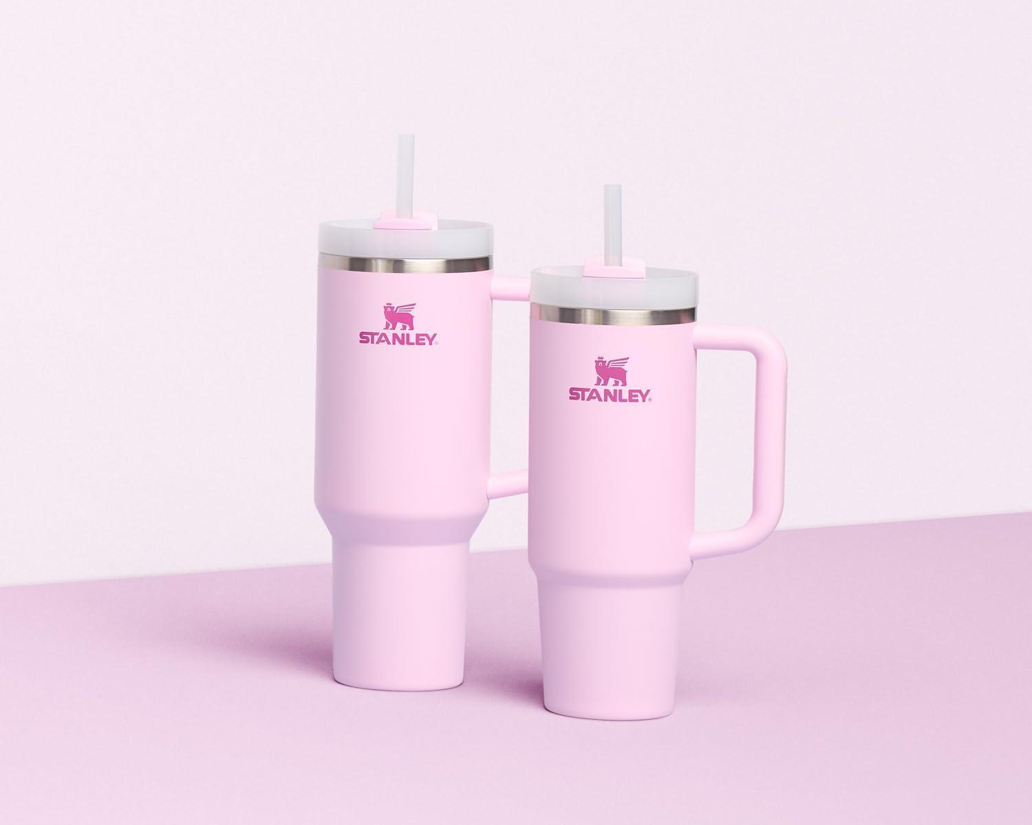 imageSTANLEY Quencher H20 Tumbler with Handle and Straw 30 oz Flowstate 3Position Lid Cup Holder Compatible for Travel Insulated Stainless Steel Cup BPAFree Spring GreenLight PinkPink