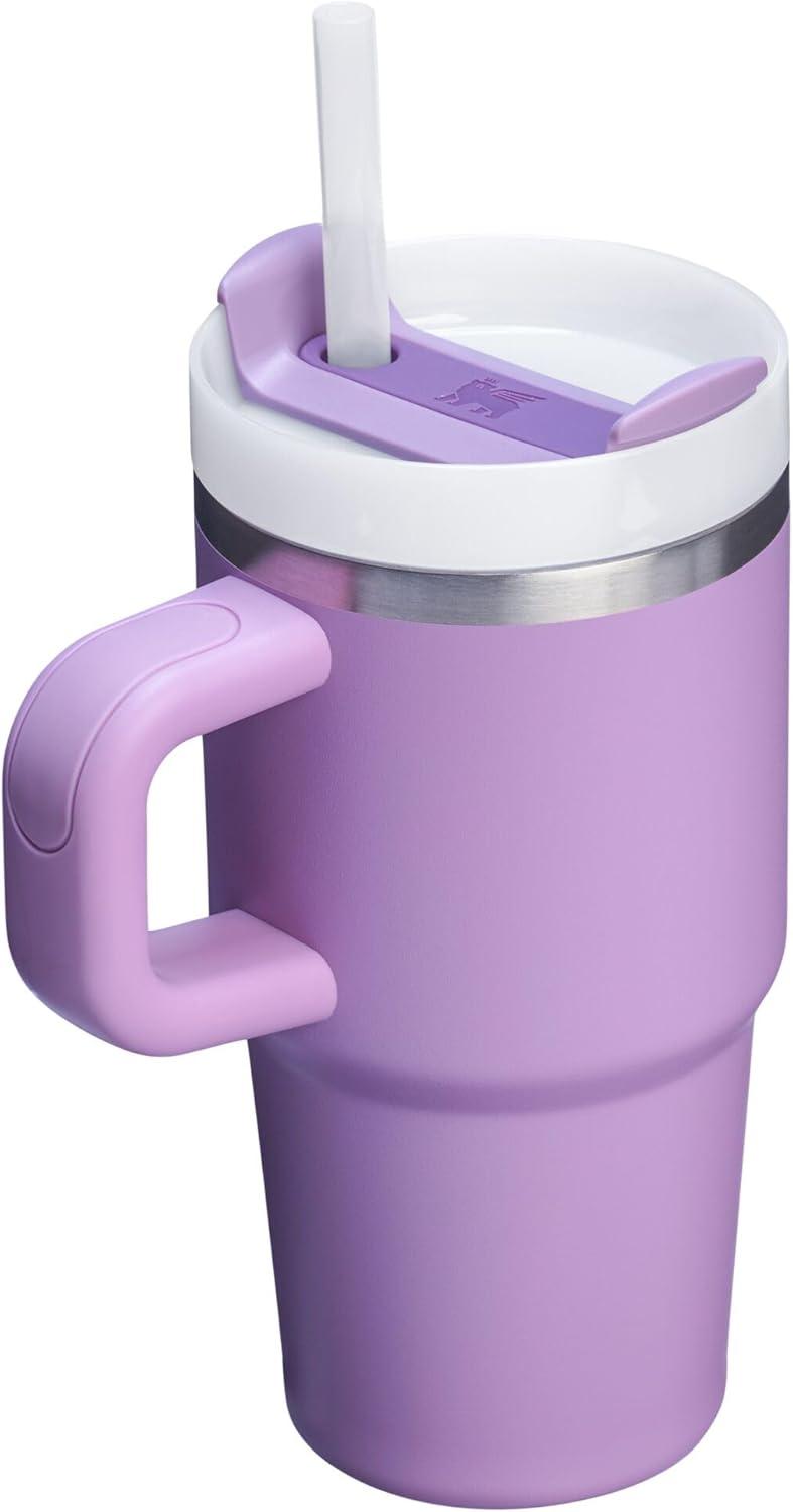 imageSTANLEY Quencher H20 Tumbler with Handle and Straw 30 oz Flowstate 3Position Lid Cup Holder Compatible for Travel Insulated Stainless Steel Cup BPAFree Soft OrchidLilac
