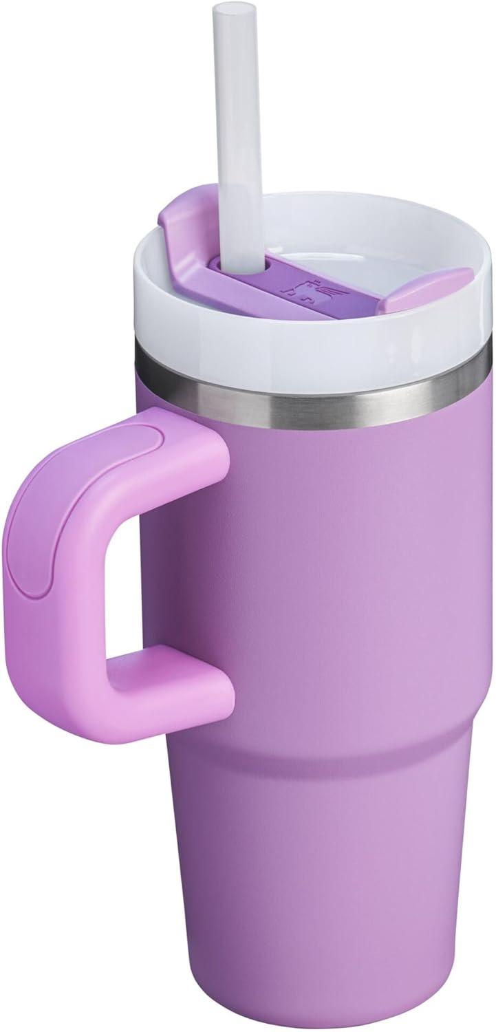 imageSTANLEY Quencher H20 Tumbler with Handle and Straw 30 oz Flowstate 3Position Lid Cup Holder Compatible for Travel Insulated Stainless Steel Cup BPAFree Soft OrchidLilac