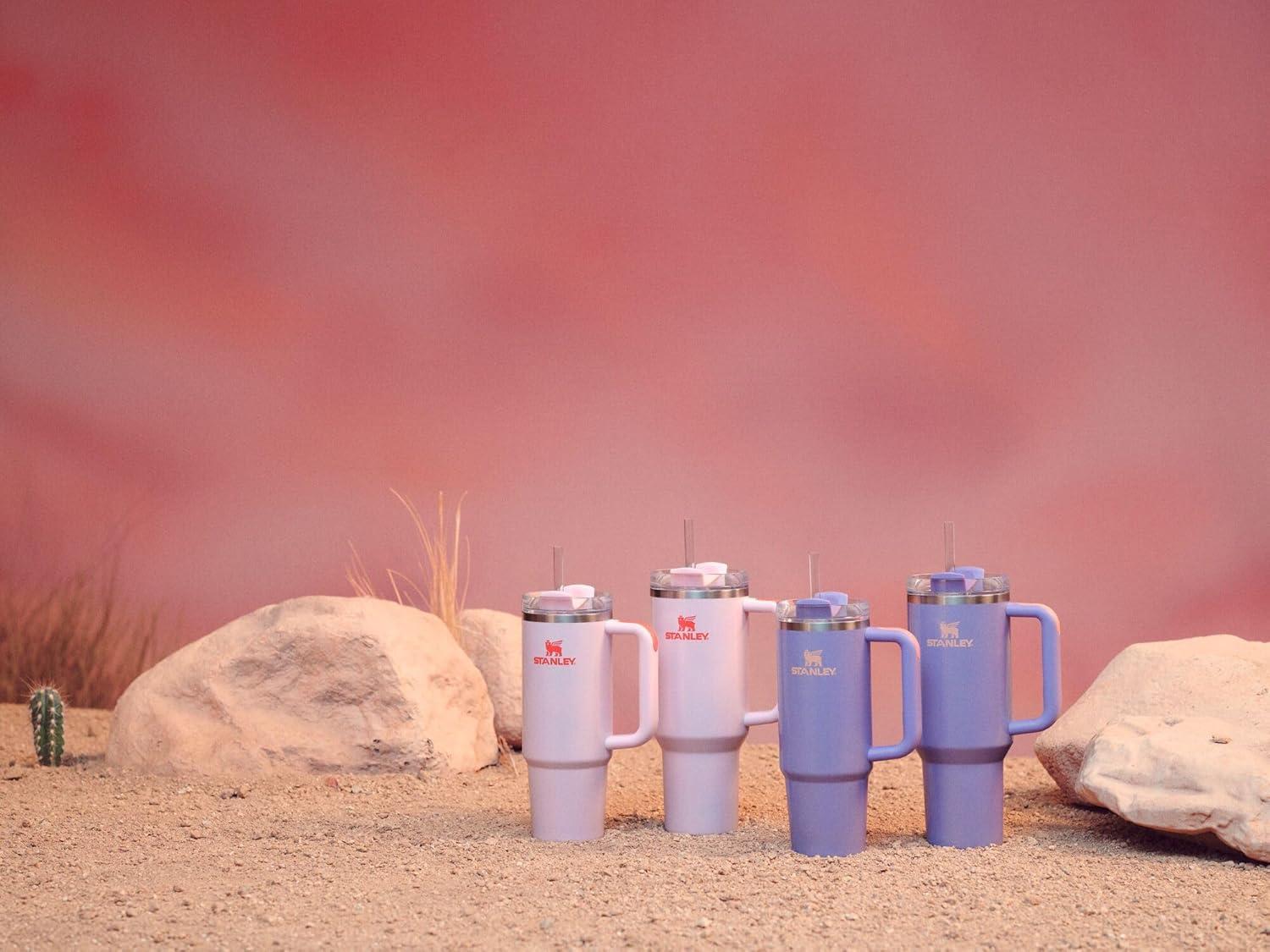 imageSTANLEY The Quencher H20 FlowState Tumbler Box 30 oz 089 L Slate Blue DriftRose Petal Shimmer