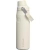Stanley IceFlow Fast Flow Water Bottle 24 oz | Angled Spout Lid | Lightweight and Leakproof for Travel and Sports | Insulated Stainless Steel | BPA-Free | Cream