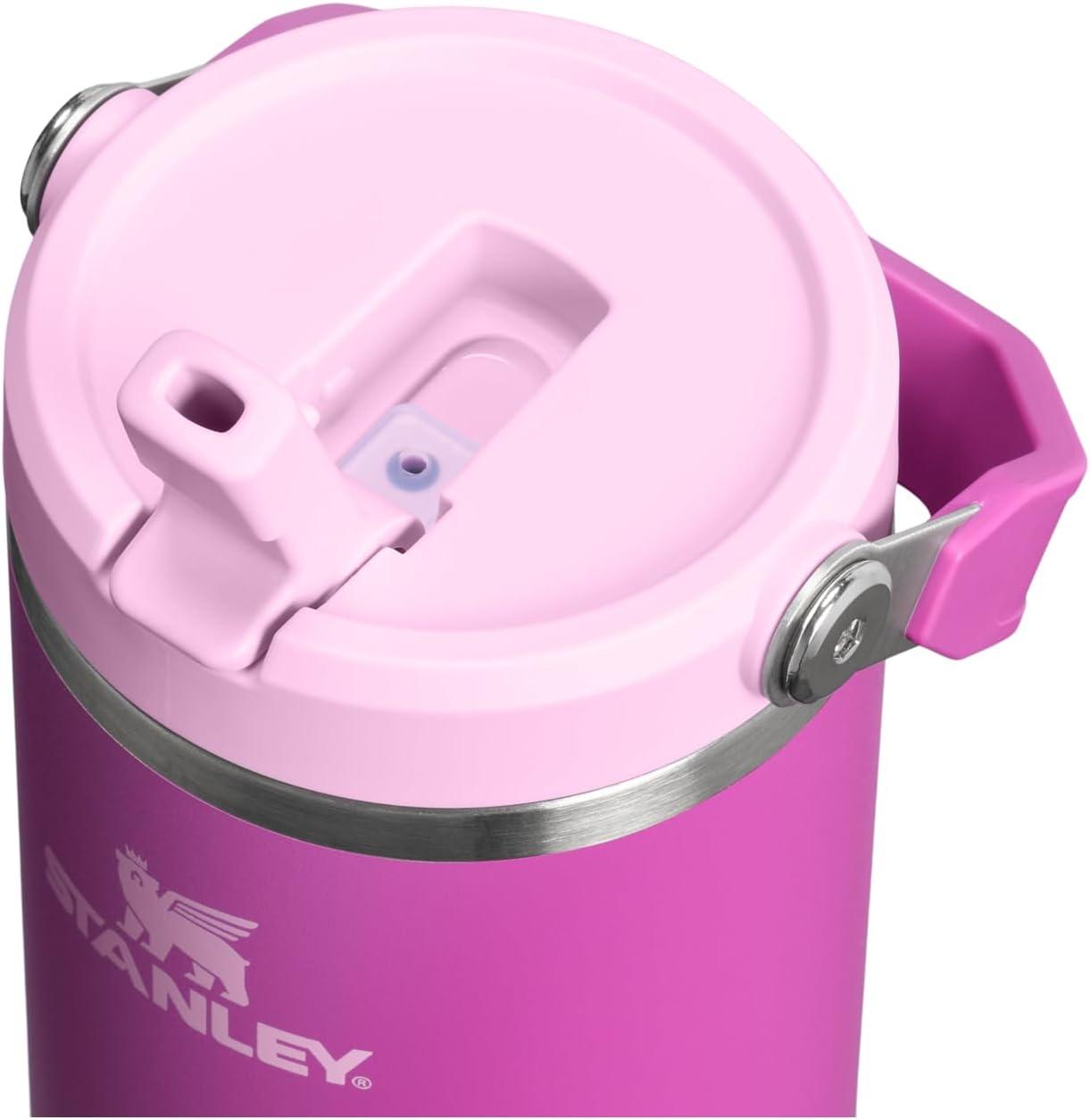 imageSTANLEY IceFlow 20 Flip Straw Tumbler with Handle 14 oz Twist On Lid and Flip Up Straw Leakproof Water Bottle Insulated Stainless Steel BPAFree AshDark Blossom