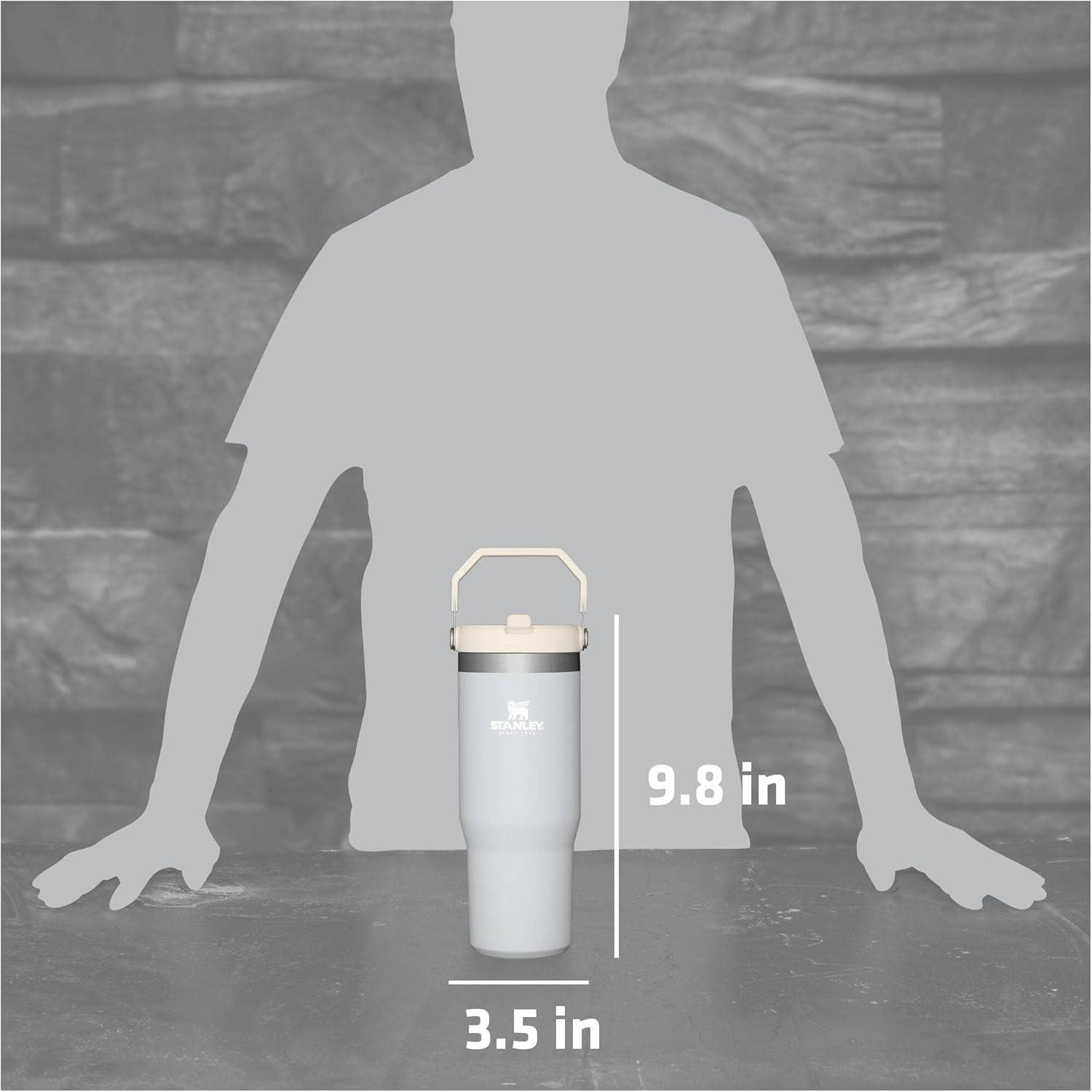 imageSTANLEY IceFlow 20 Flip Straw Tumbler with Handle 14 oz Twist On Lid and Flip Up Straw Leakproof Water Bottle Insulated Stainless Steel BPAFree AshCloud