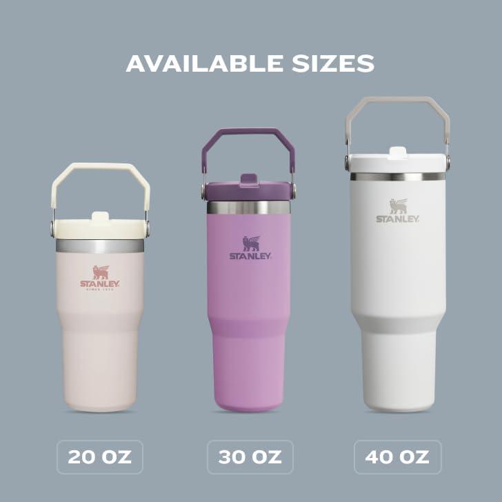 imageSTANLEY IceFlow 20 Flip Straw Tumbler with Handle 14 oz Twist On Lid and Flip Up Straw Leakproof Water Bottle Insulated Stainless Steel BPAFree AshChili Red