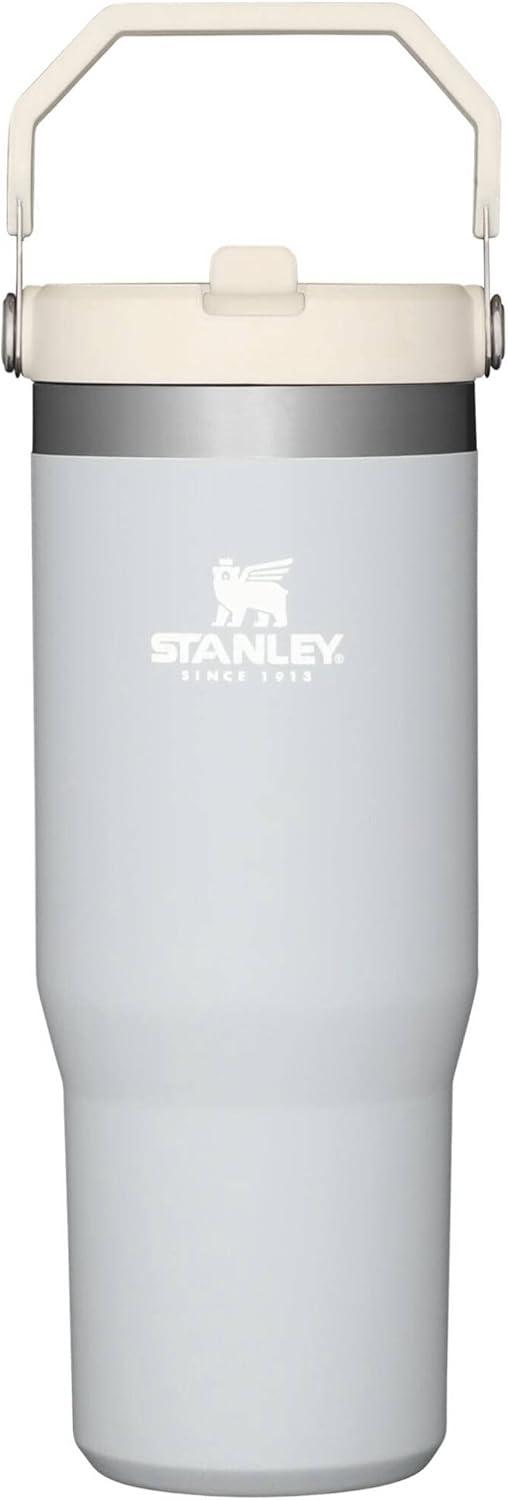 imageSTANLEY IceFlow 20 Flip Straw Tumbler with Handle 14 oz Twist On Lid and Flip Up Straw Leakproof Water Bottle Insulated Stainless Steel BPAFree AshCloud