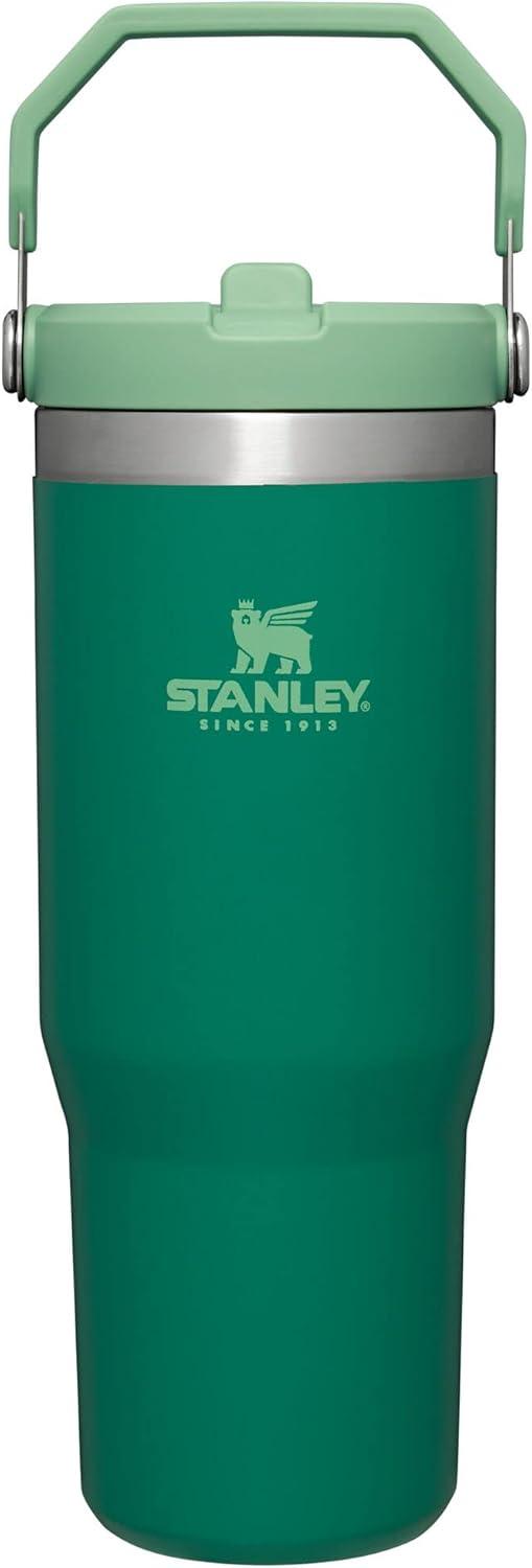 imageSTANLEY IceFlow 20 Flip Straw Tumbler with Handle 14 oz Twist On Lid and Flip Up Straw Leakproof Water Bottle Insulated Stainless Steel BPAFree AshAlpine