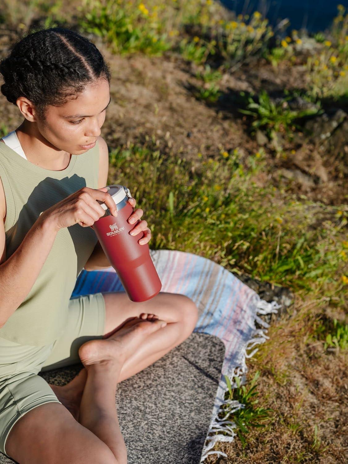 imageSTANLEY IceFlow 20 Flip Straw Tumbler with Handle 14 oz Twist On Lid and Flip Up Straw Leakproof Water Bottle Insulated Stainless Steel BPAFree AshCarnelian