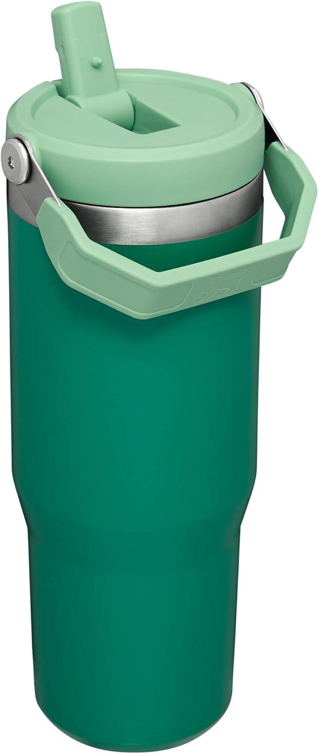imageSTANLEY IceFlow 20 Flip Straw Tumbler with Handle 14 oz Twist On Lid and Flip Up Straw Leakproof Water Bottle Insulated Stainless Steel BPAFree AshAlpine