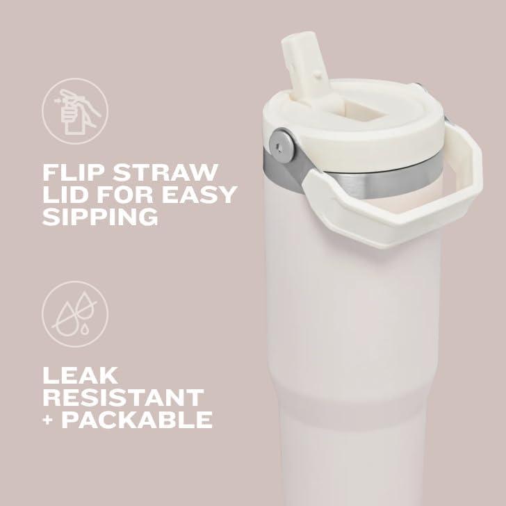 imageSTANLEY IceFlow 20 Flip Straw Tumbler with Handle 14 oz Twist On Lid and Flip Up Straw Leakproof Water Bottle Insulated Stainless Steel BPAFree AshCranberry