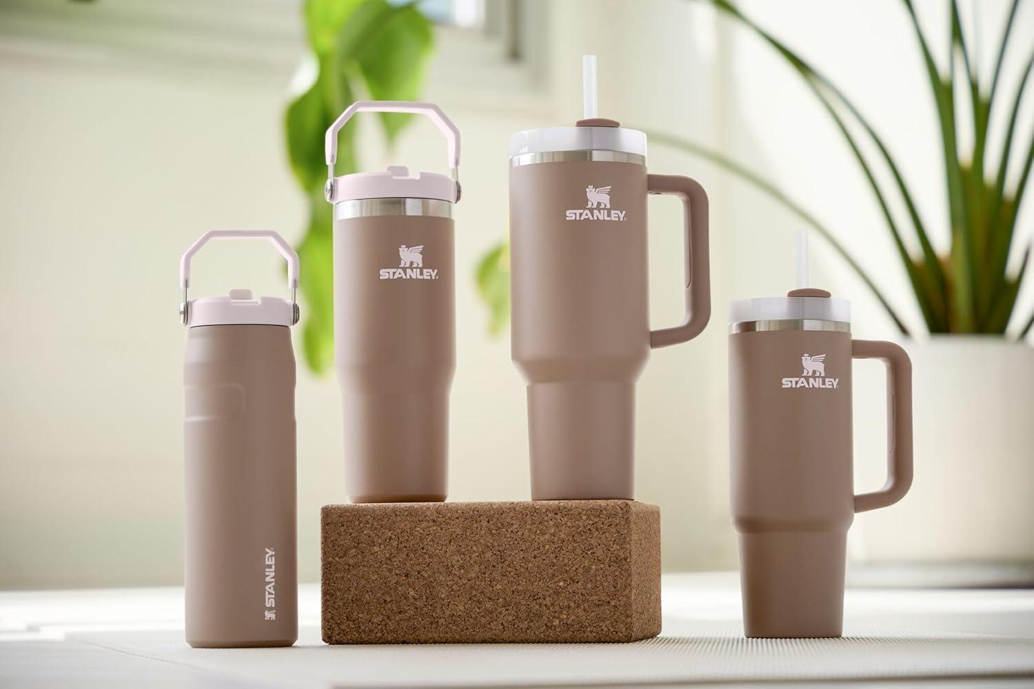 imageSTANLEY IceFlow 20 Flip Straw Tumbler with Handle 14 oz Twist On Lid and Flip Up Straw Leakproof Water Bottle Insulated Stainless Steel BPAFree AshAlmond Rose