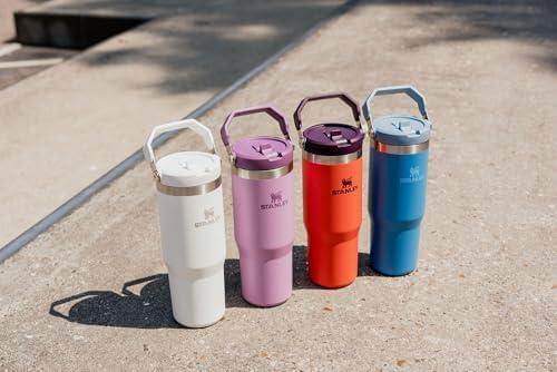 imageSTANLEY IceFlow 20 Flip Straw Tumbler with Handle 14 oz Twist On Lid and Flip Up Straw Leakproof Water Bottle Insulated Stainless Steel BPAFree AshTigerlily Plum