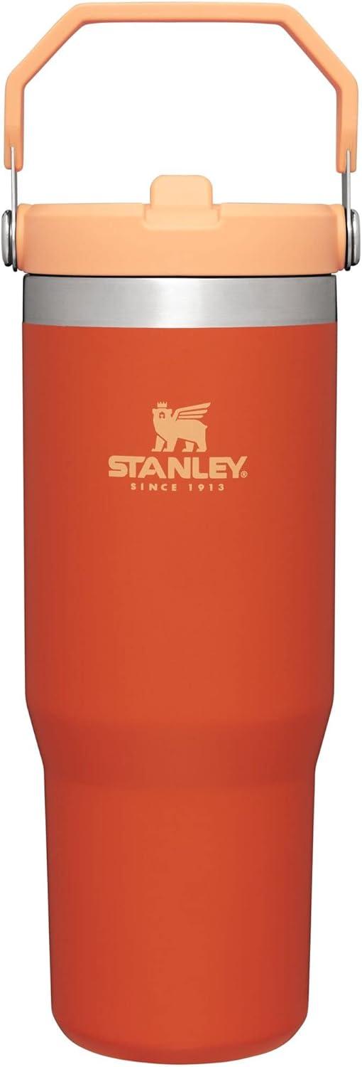 imageSTANLEY IceFlow 20 Flip Straw Tumbler with Handle 14 oz Twist On Lid and Flip Up Straw Leakproof Water Bottle Insulated Stainless Steel BPAFree AshTigerlily