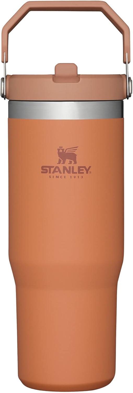 imageSTANLEY IceFlow 20 Flip Straw Tumbler with Handle 14 oz Twist On Lid and Flip Up Straw Leakproof Water Bottle Insulated Stainless Steel BPAFree AshOchre