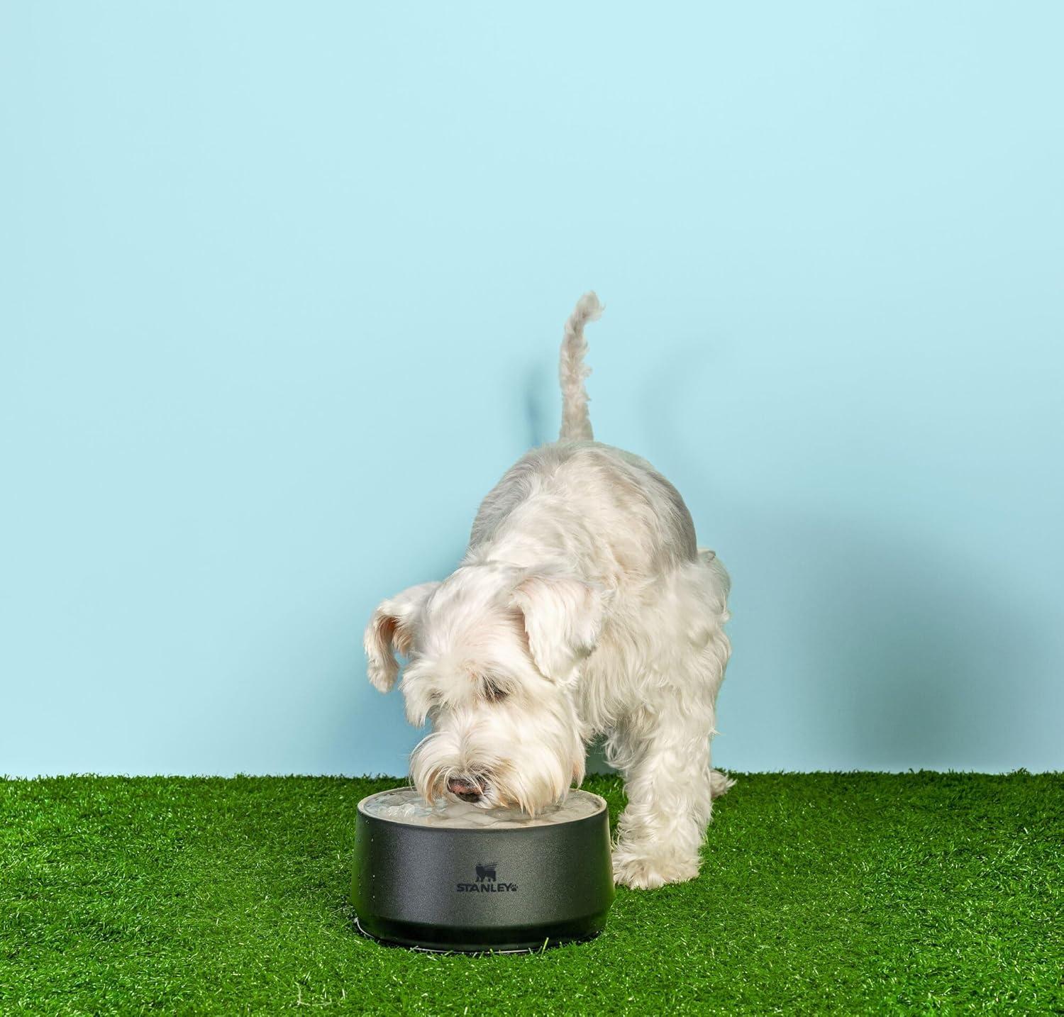 imageSTANLEY Pet Bowl 3Cup 24 oz Insulated Stainless Steel Dog amp Cat Bowl SplashResistant Lid Dishwasher Safe BPAFree Rose QuartzBlack 20