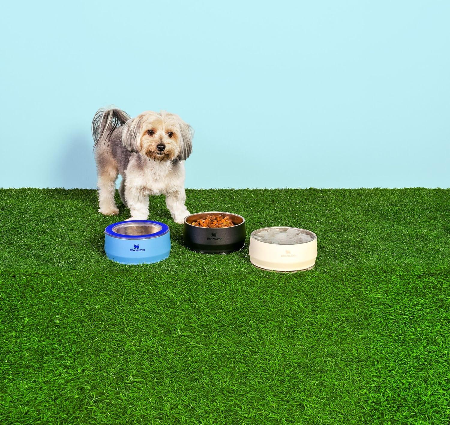 imageSTANLEY Pet Bowl 3Cup 24 oz Insulated Stainless Steel Dog amp Cat Bowl SplashResistant Lid Dishwasher Safe BPAFree Rose QuartzBlue Sky