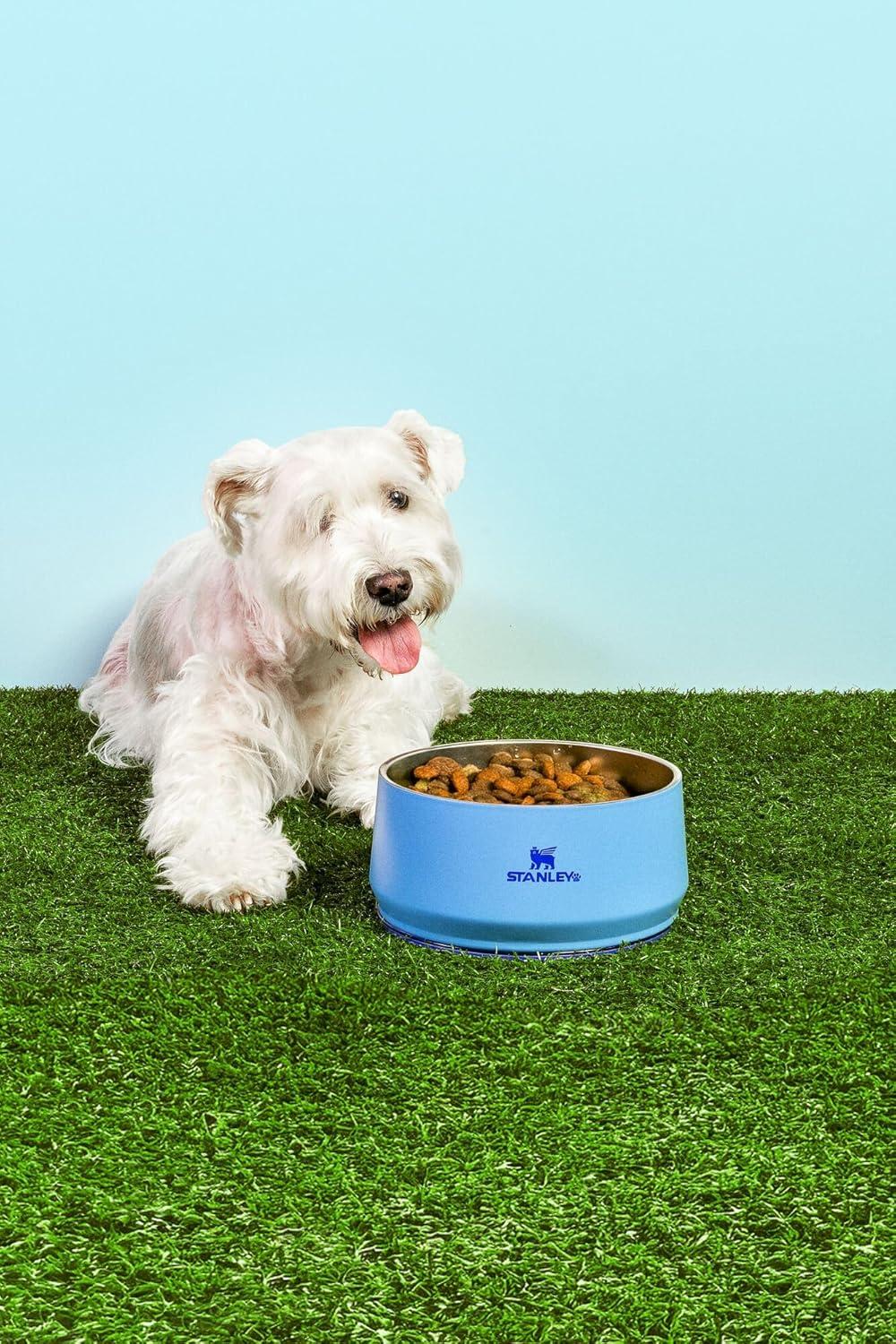 imageSTANLEY Pet Bowl 3Cup 24 oz Insulated Stainless Steel Dog amp Cat Bowl SplashResistant Lid Dishwasher Safe BPAFree Rose QuartzBlue Sky