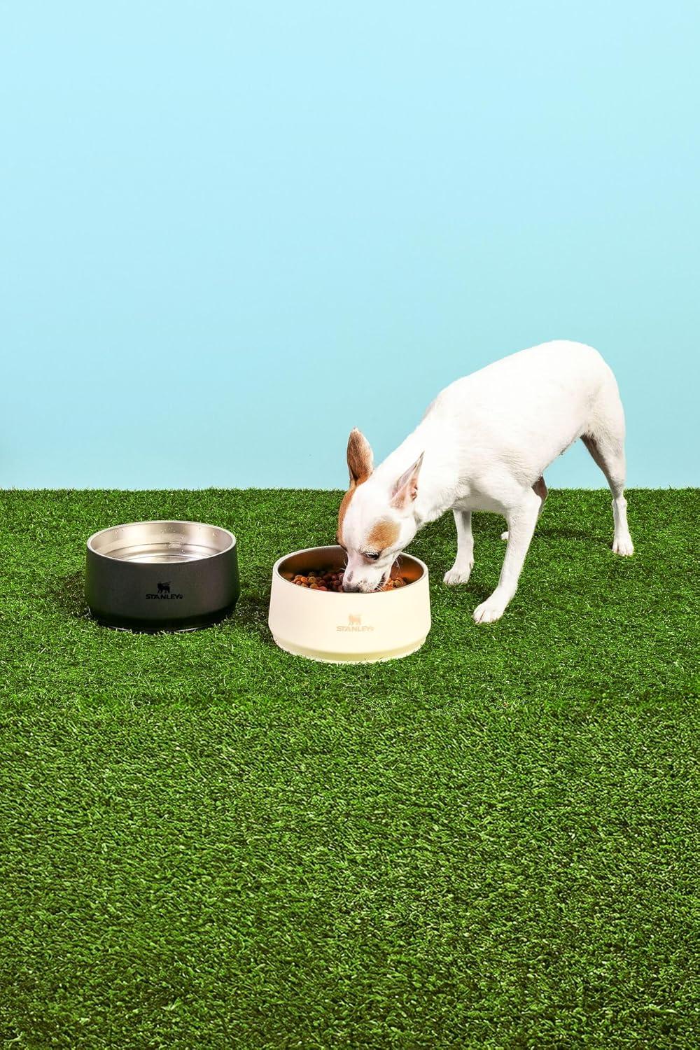 imageSTANLEY Pet Bowl 3Cup 24 oz Insulated Stainless Steel Dog amp Cat Bowl SplashResistant Lid Dishwasher Safe BPAFree Rose QuartzCream