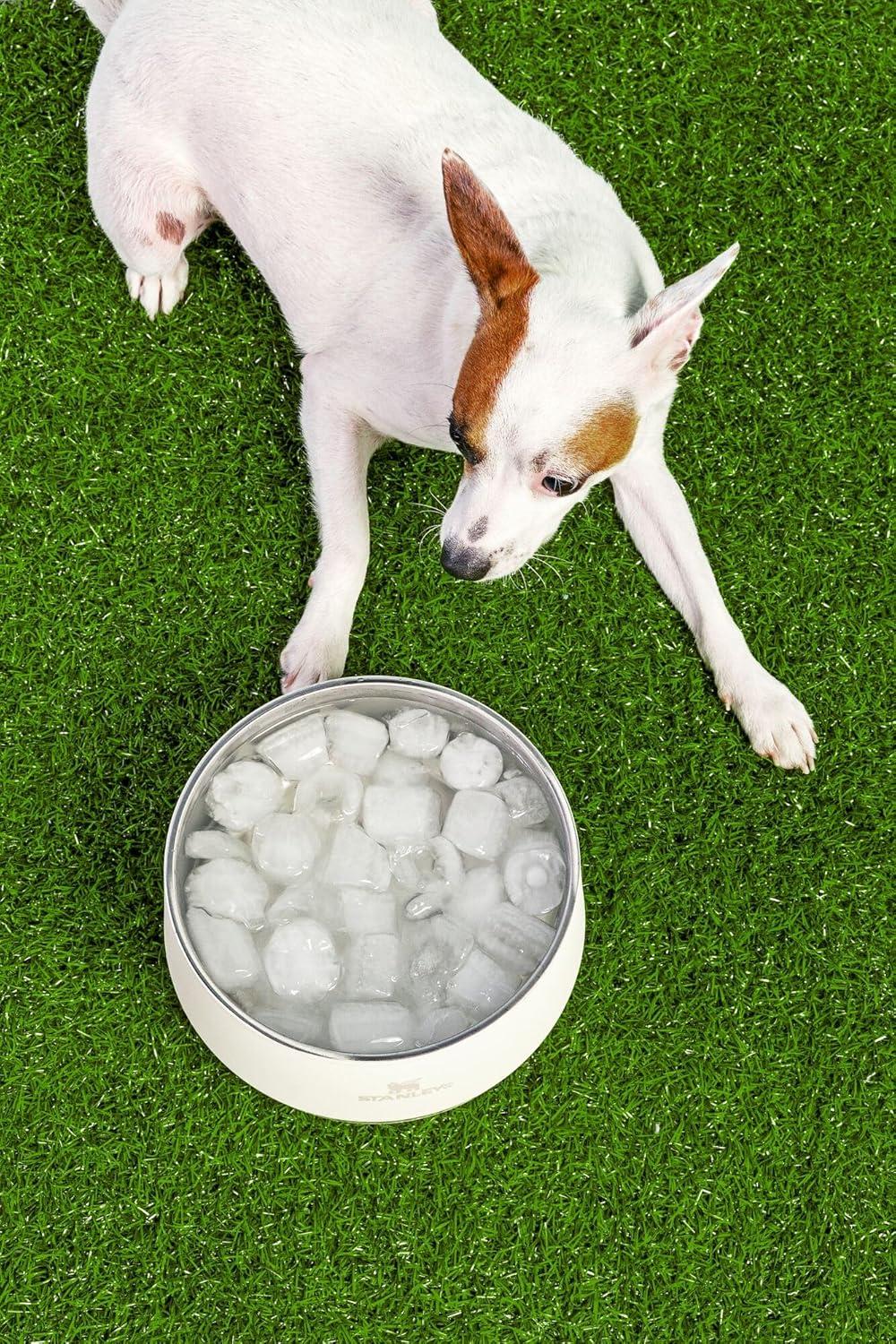 imageSTANLEY Pet Bowl 3Cup 24 oz Insulated Stainless Steel Dog amp Cat Bowl SplashResistant Lid Dishwasher Safe BPAFree Rose QuartzCream