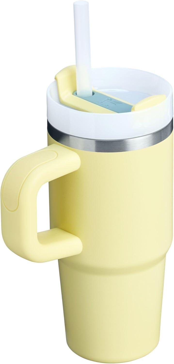imageSTANLEY Quencher H20 Tumbler with Handle and Straw 30 oz Flowstate 3Position Lid Cup Holder Compatible for Travel Insulated Stainless Steel Cup BPAFree Sahara PlumePomelo