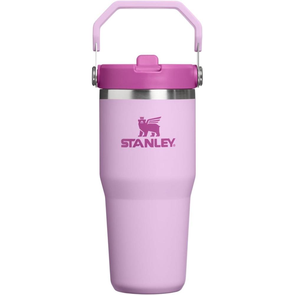imageSTANLEY IceFlow 20 Flip Straw Tumbler with Handle 14 oz Twist On Lid and Flip Up Straw Leakproof Water Bottle Insulated Stainless Steel BPAFree AshSoft Orchid