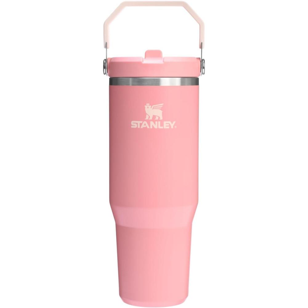 imageSTANLEY IceFlow 20 Flip Straw Tumbler with Handle 14 oz Twist On Lid and Flip Up Straw Leakproof Water Bottle Insulated Stainless Steel BPAFree AshPink Mesa