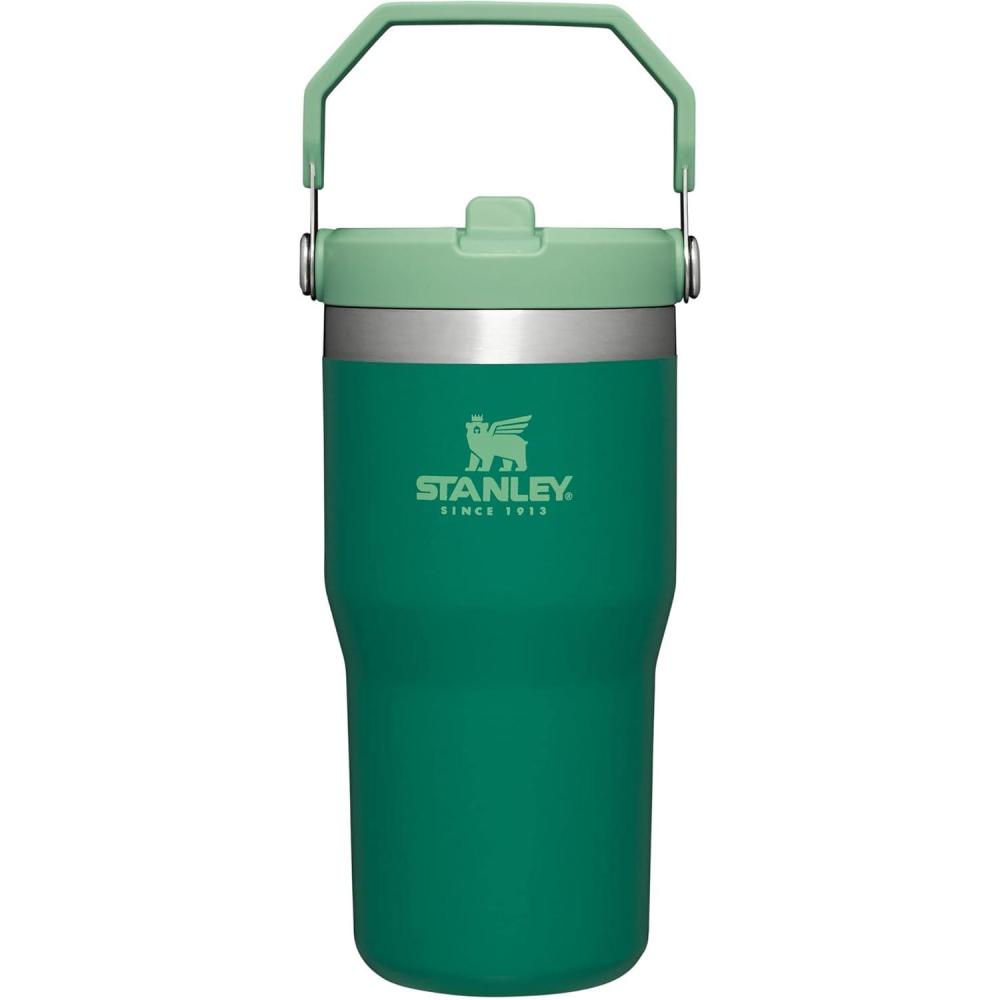 imageSTANLEY IceFlow 20 Flip Straw Tumbler with Handle 14 oz Twist On Lid and Flip Up Straw Leakproof Water Bottle Insulated Stainless Steel BPAFree AshAlpine