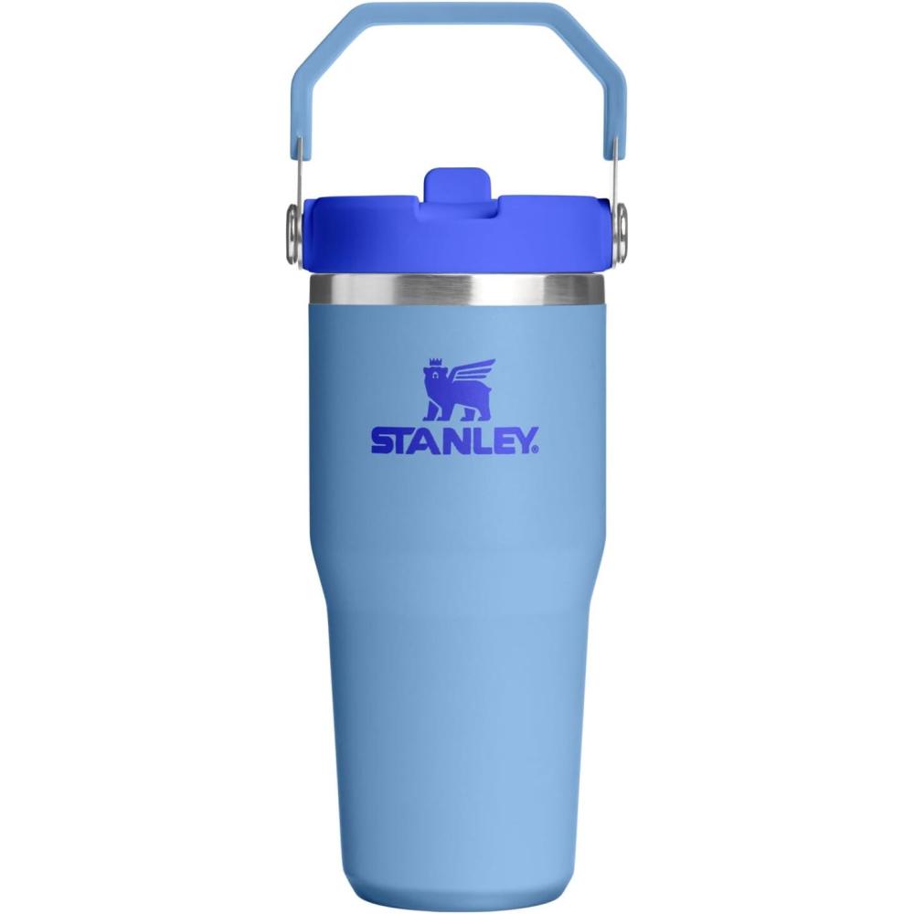 imageSTANLEY IceFlow 20 Flip Straw Tumbler with Handle 14 oz Twist On Lid and Flip Up Straw Leakproof Water Bottle Insulated Stainless Steel BPAFree AshBlue Sky