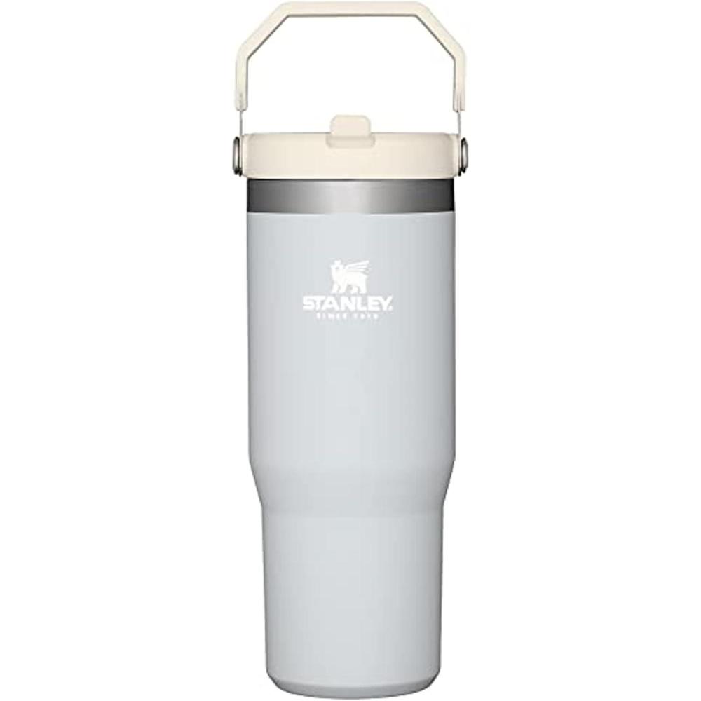 imageSTANLEY IceFlow 20 Flip Straw Tumbler with Handle 14 oz Twist On Lid and Flip Up Straw Leakproof Water Bottle Insulated Stainless Steel BPAFree AshCloud