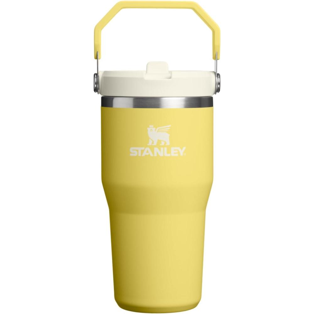 imageSTANLEY IceFlow 20 Flip Straw Tumbler with Handle 14 oz Twist On Lid and Flip Up Straw Leakproof Water Bottle Insulated Stainless Steel BPAFree AshDaffodil