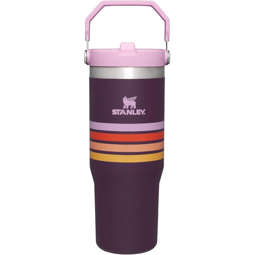 imageSTANLEY IceFlow 20 Flip Straw Tumbler with Handle 14 oz  Twist On Lid and Flip Up Straw  Leakproof Water Bottle  Insulated Stainless Steel  BPAFree  AshPlum Stripe
